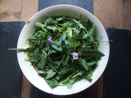 Salade_1.JPG, mai 2019 Salade_1.JPG