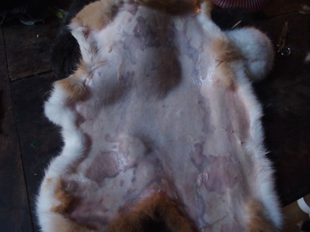5.JPG, fév. 2019 5.JPG
